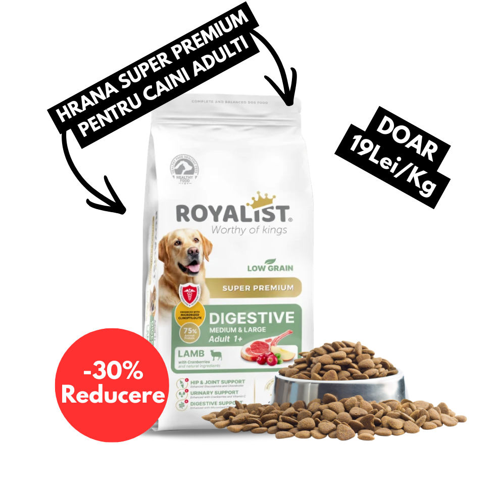 Hrana Uscată Royalist Adult Digestive Miel și Orez 15Kg pentru Câini